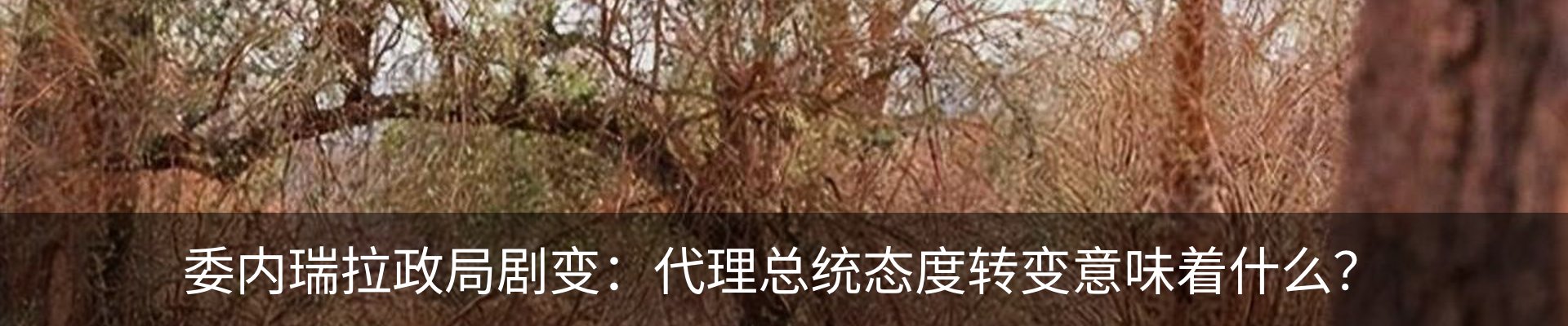 最新动态
